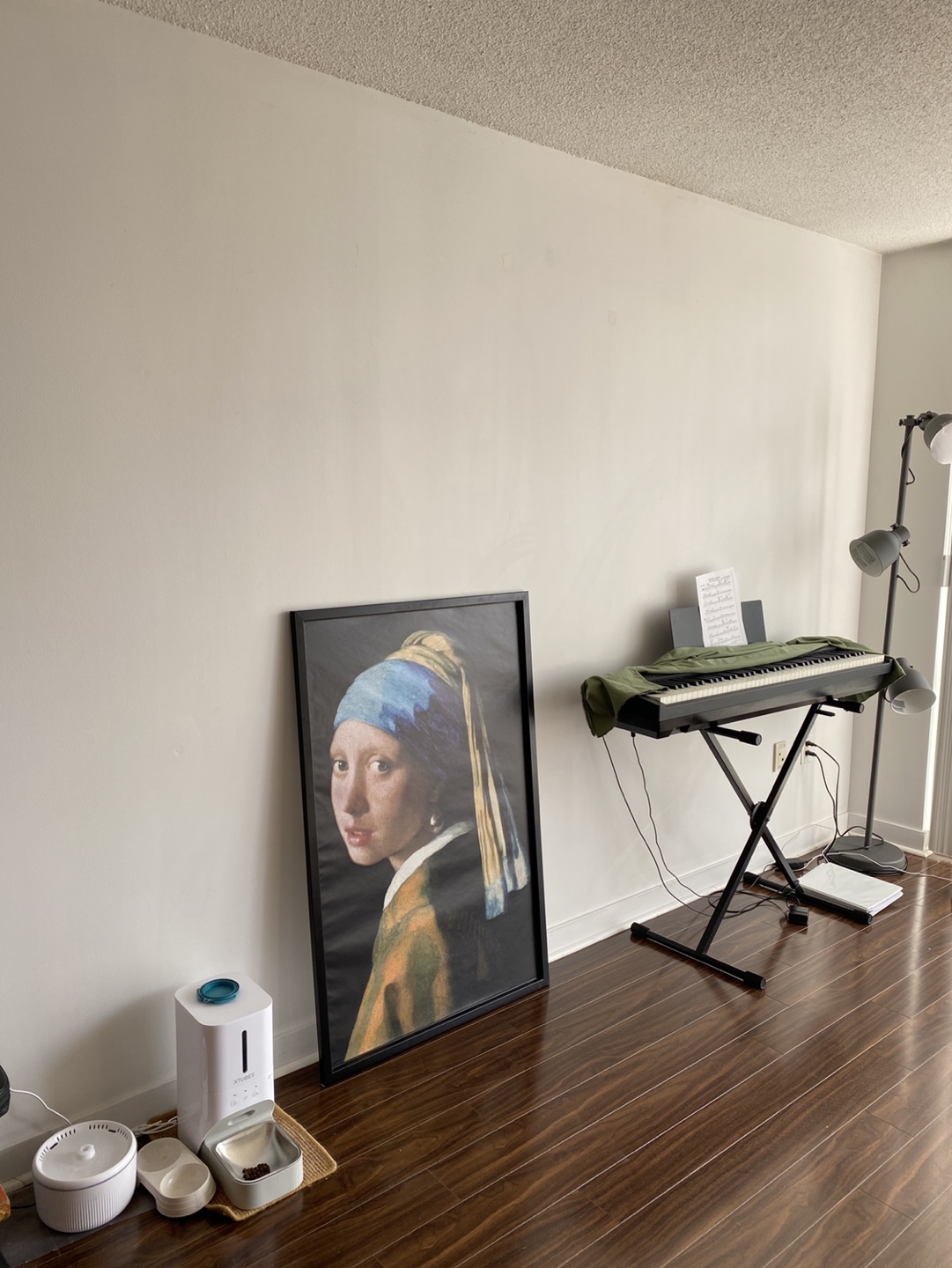 Girl with a pearl earring poster - photo 2