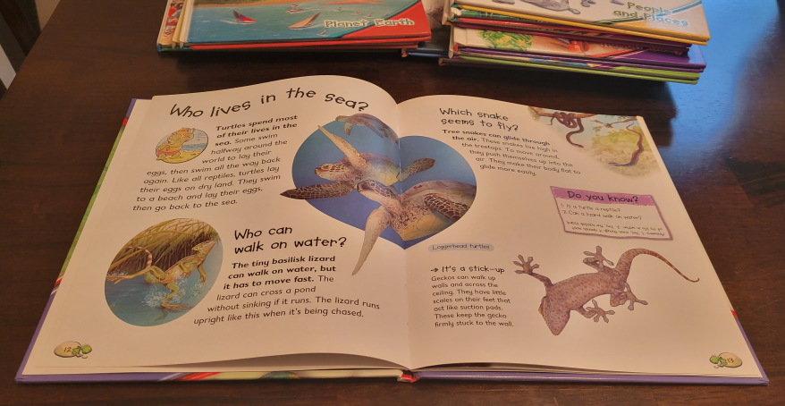 Children's Fun Educational Books image indicator(5)