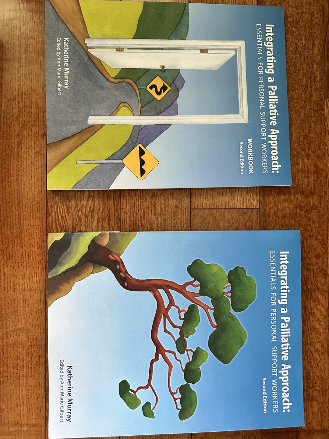 Integrating a Palliative Approach PSW book