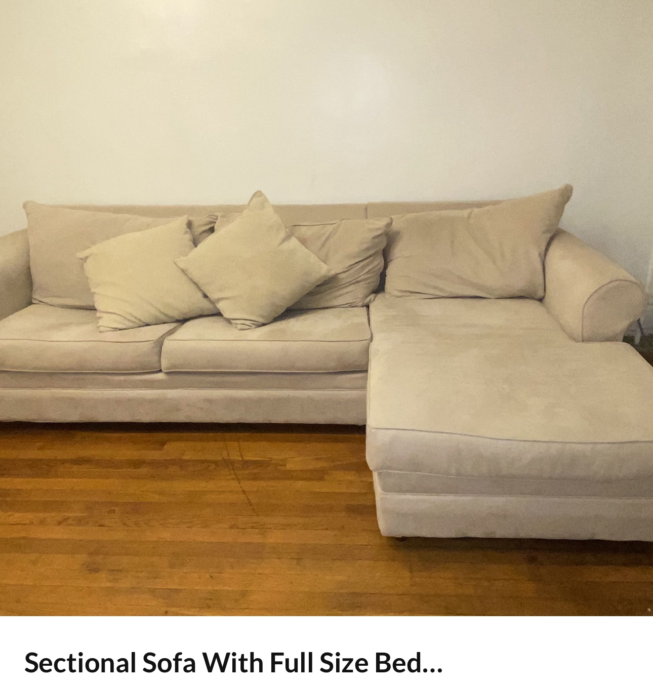 Beige Sectional Sofa With Full Size Bed