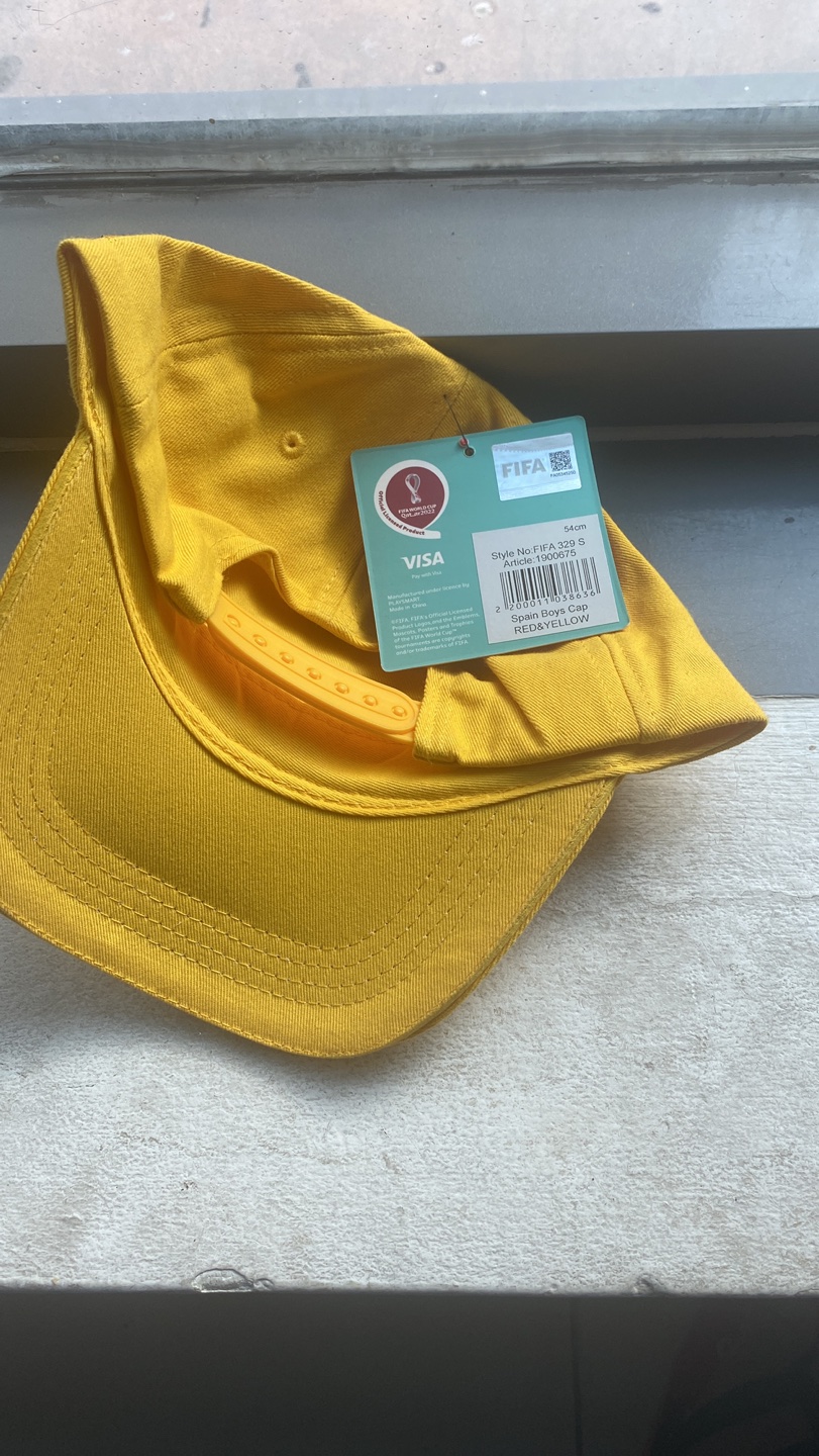 World Cup caps image indicator(3)