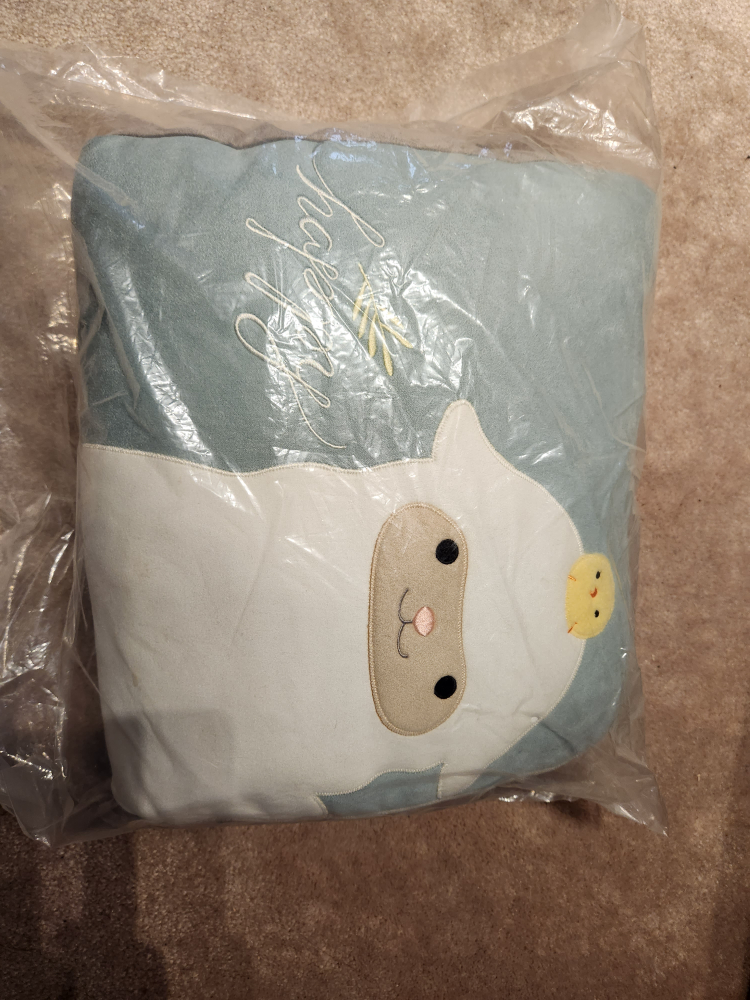 brand new cushion