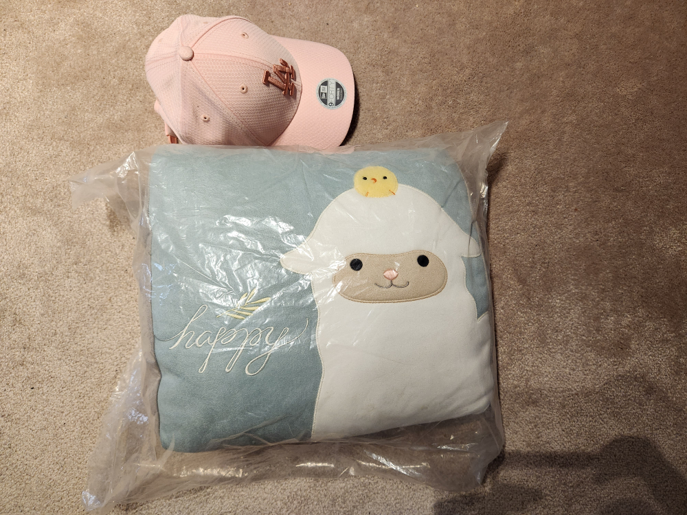 brand new cushion - photo 2