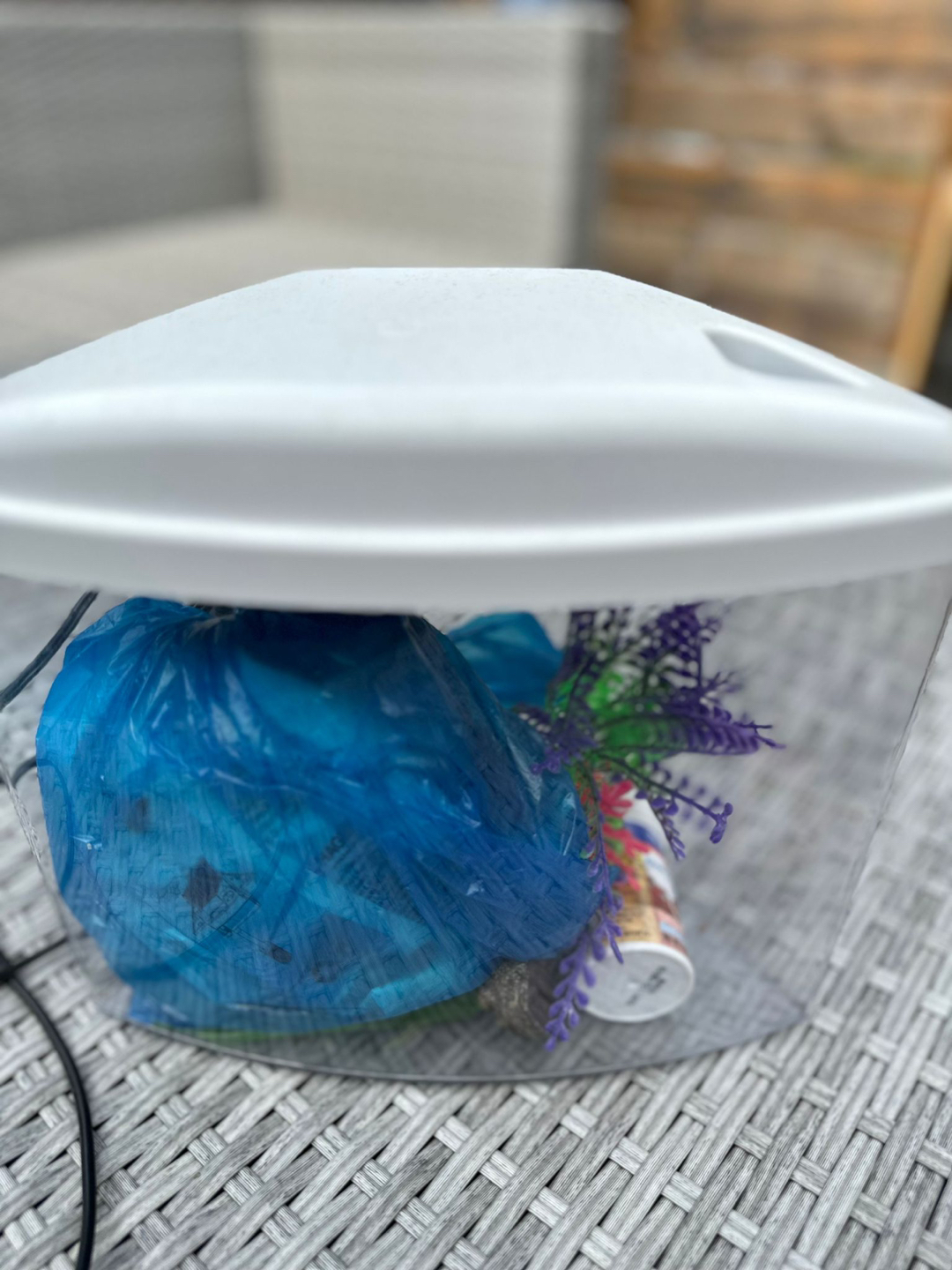 Small fish tank with accessories image indicator(2)