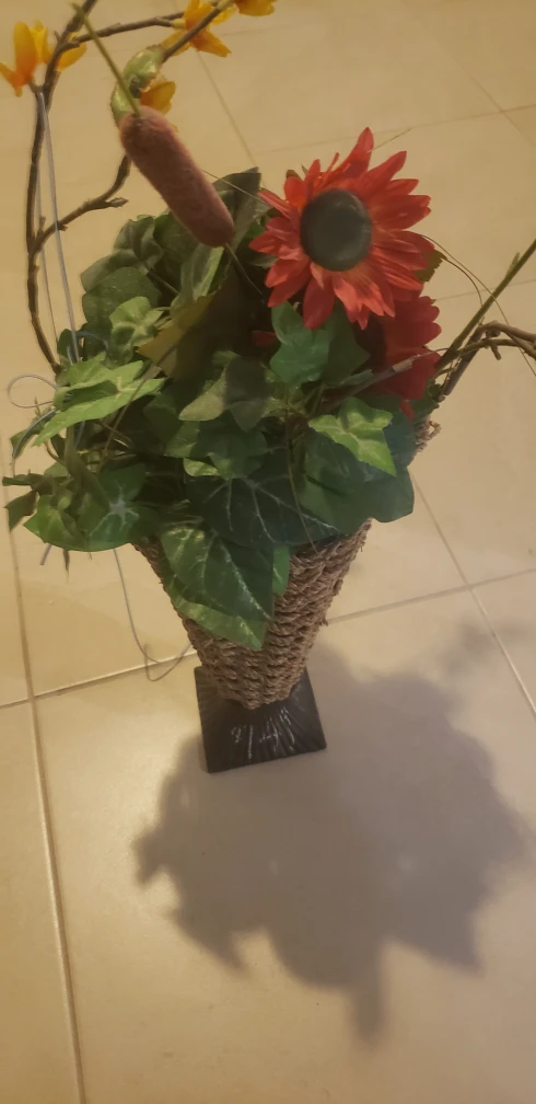 plant , flowers holde4 thumbnail