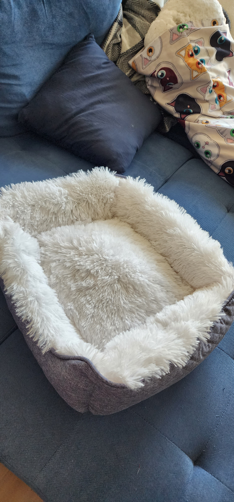 two pet beds - photo 2