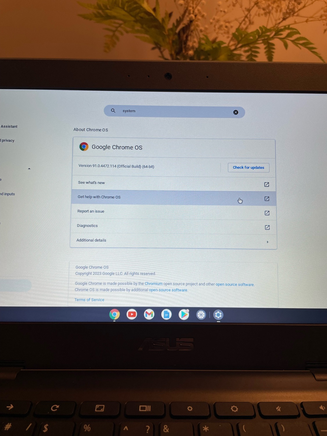 Asus Chromebook - photo 4