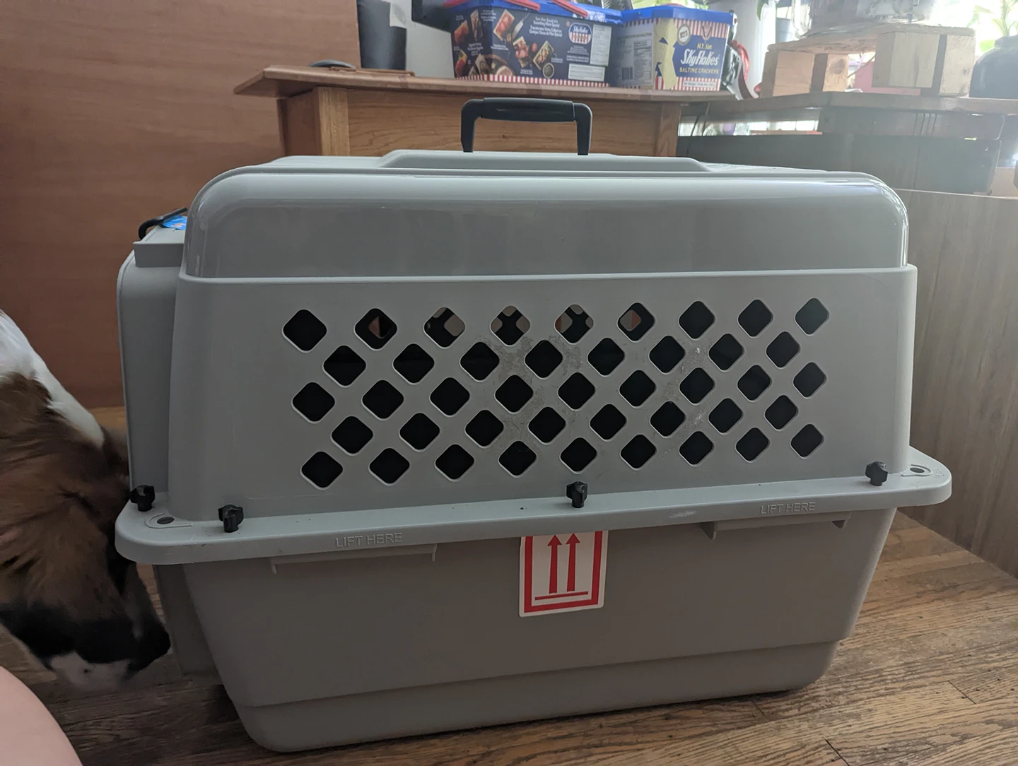 classic dog/pet kennel for small dogs - photo 2