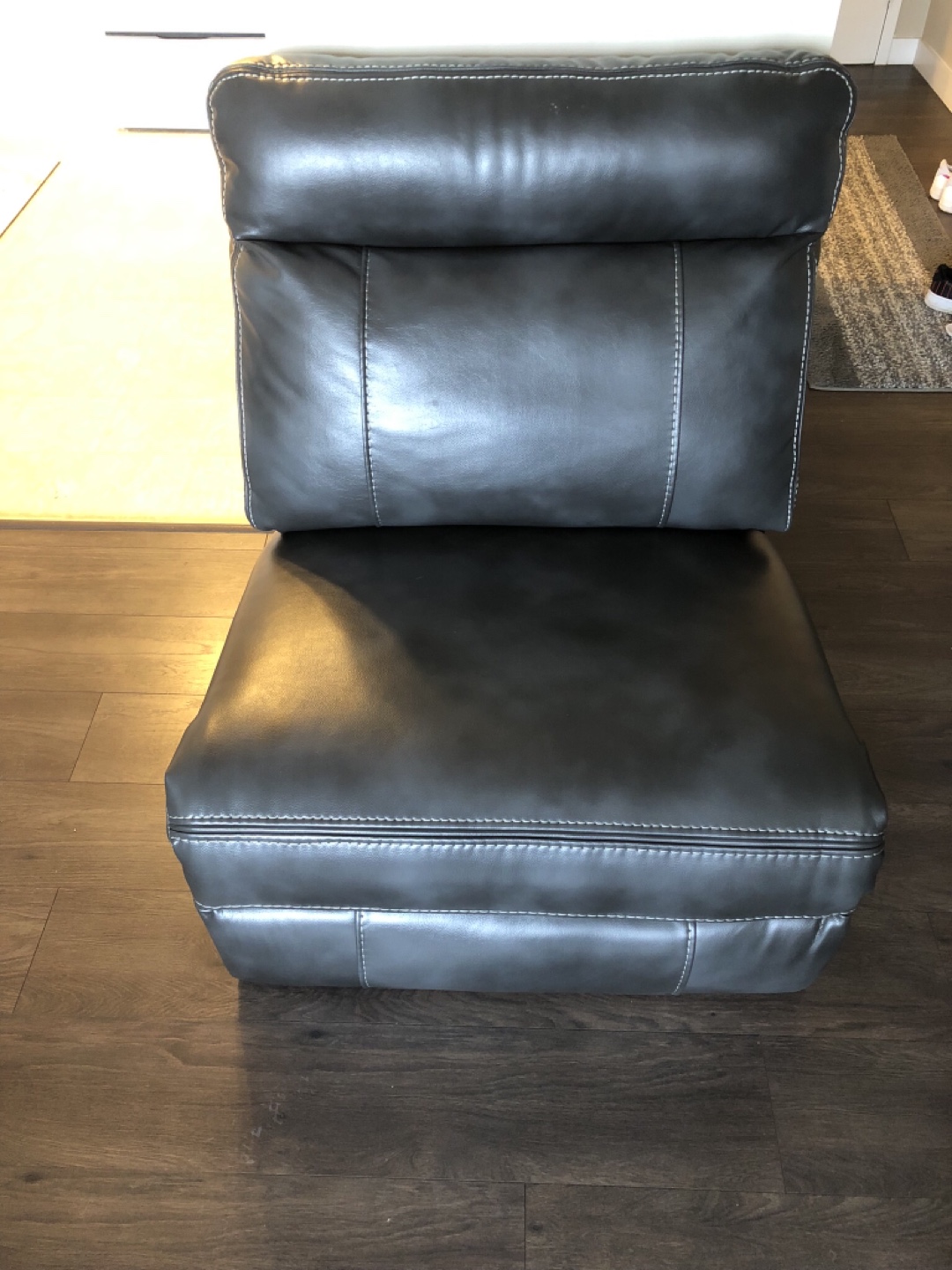Leather couch chair