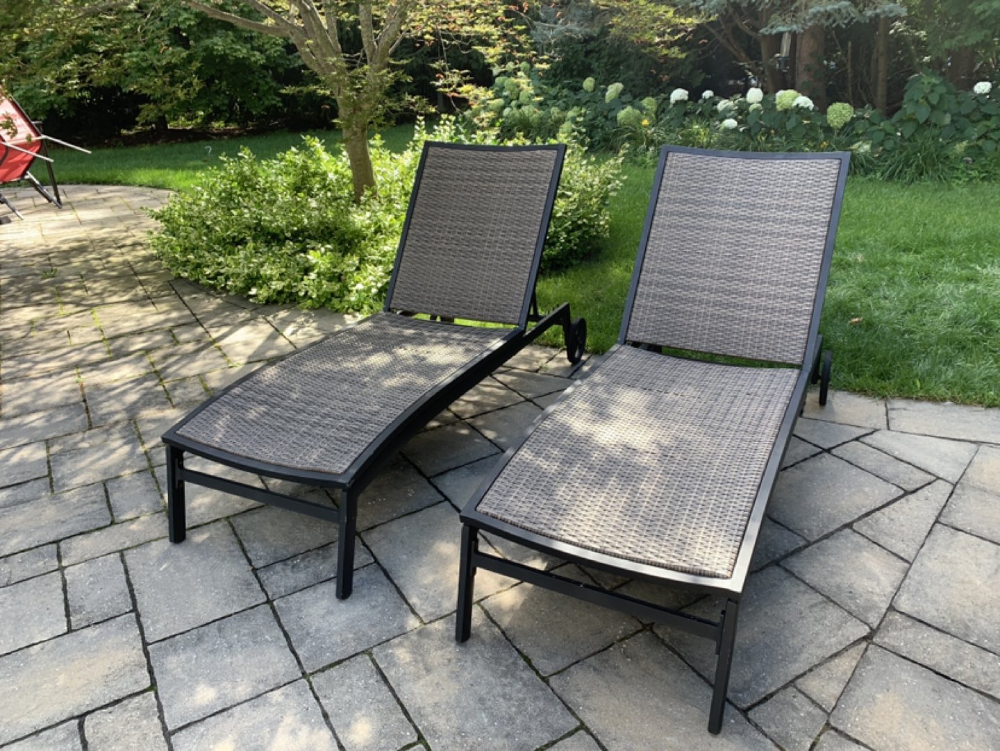 Patio Loungers (4 in total)