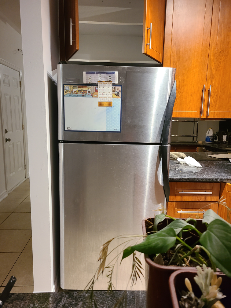 Frigidaire Stainless Steel Fridge thumbnail