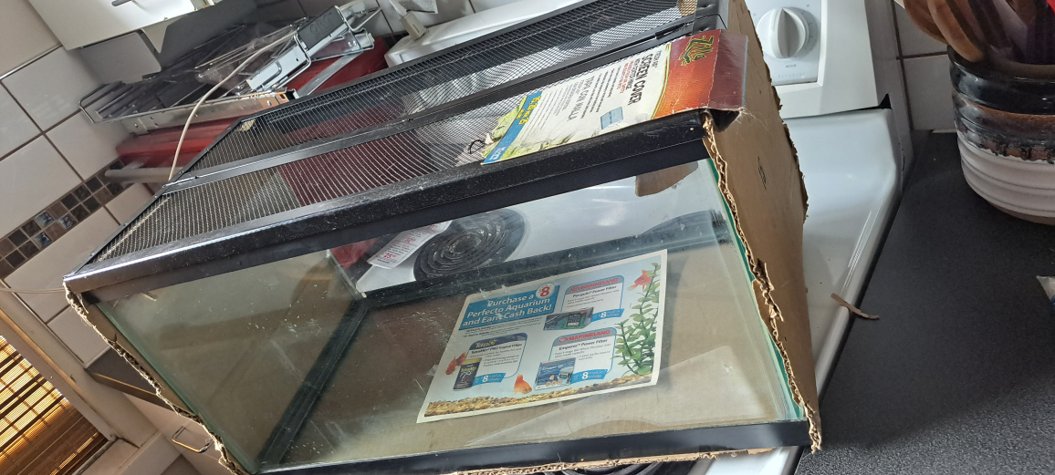 15 gallons aquarium tank - photo 4