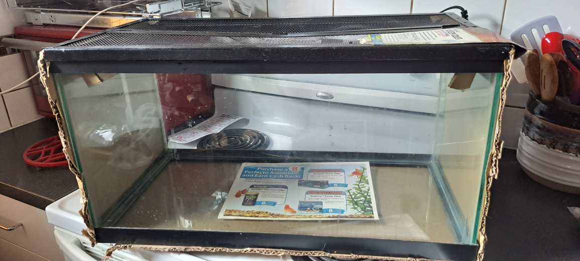 15 gallons aquarium tank - photo 5