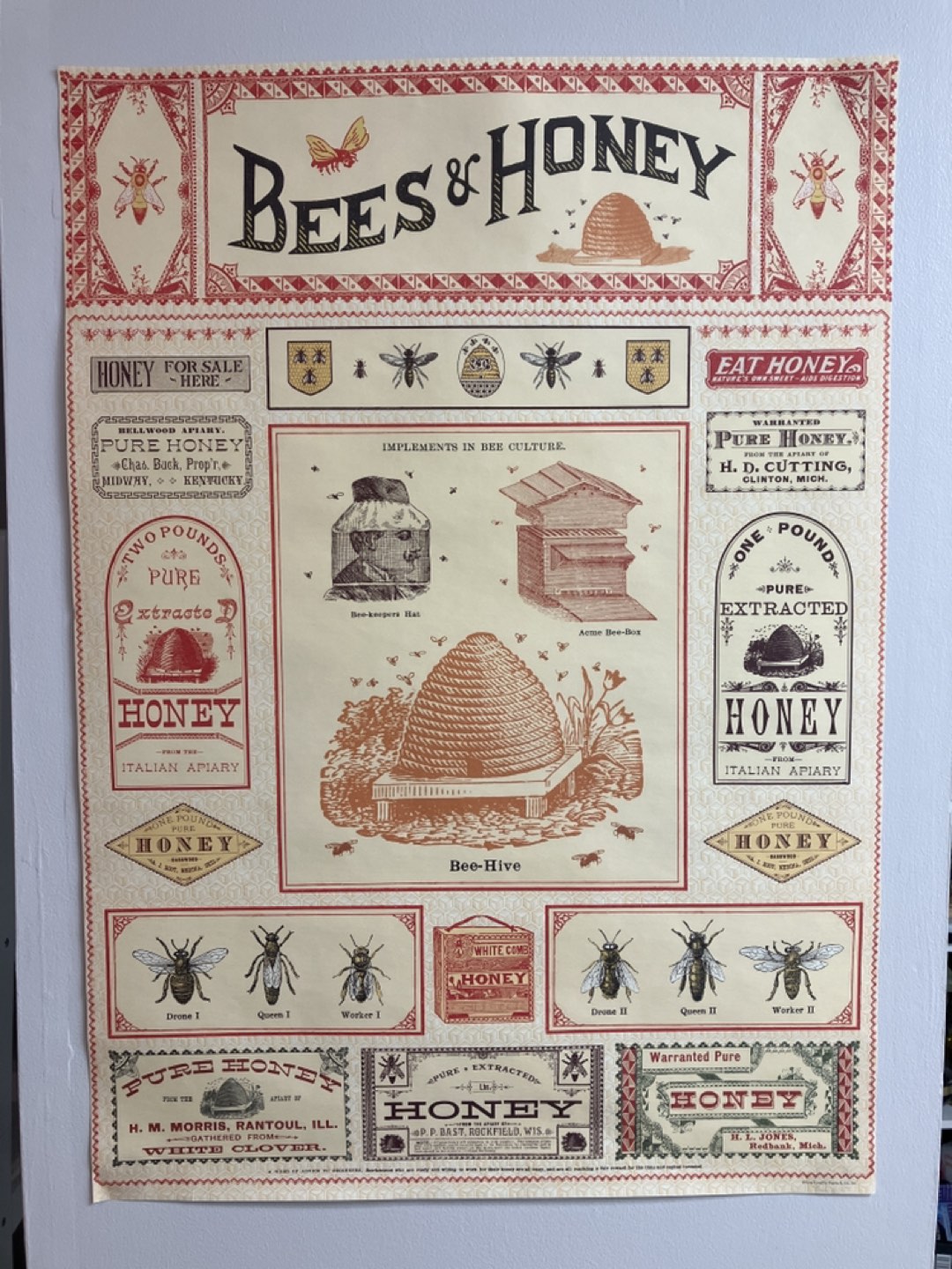 Bees & honey Cavallini poster print