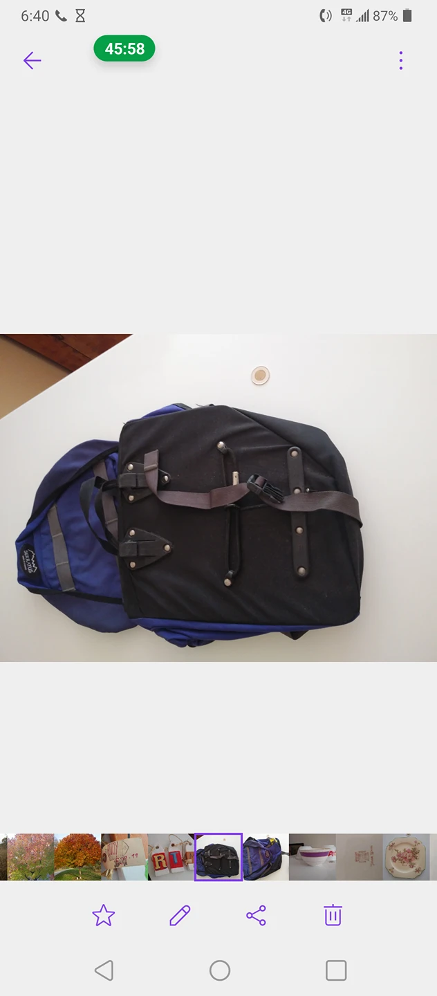 Serratus Panier image indicator(2)