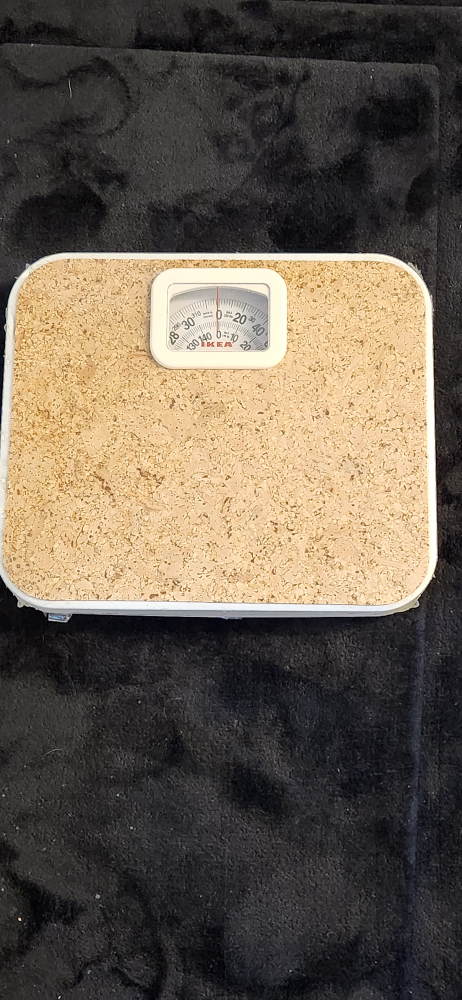 Bathroom Scale