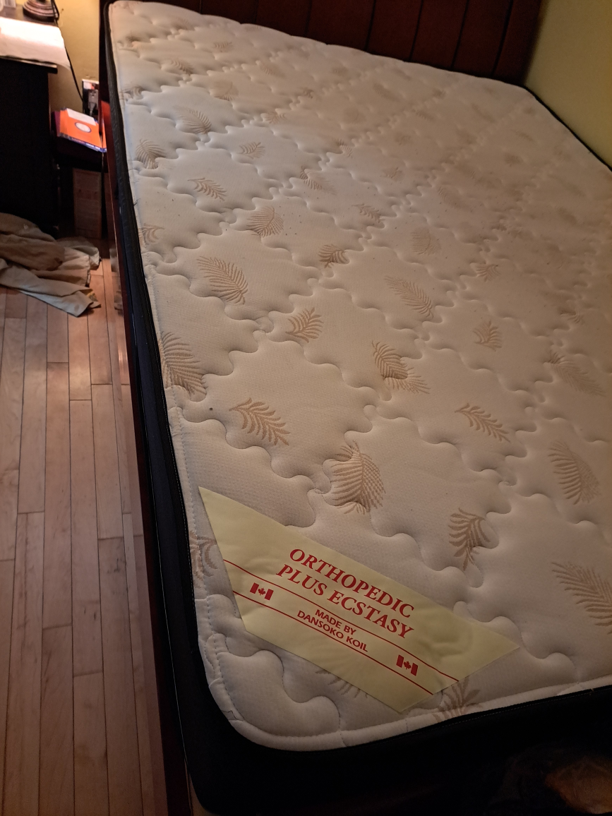 queen orthopedic mattress
