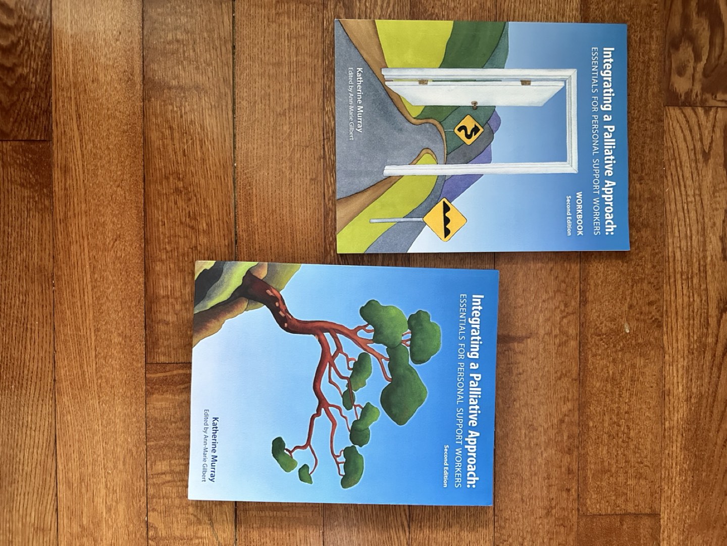 Integrating a Palliative Approach PSW book - photo 2