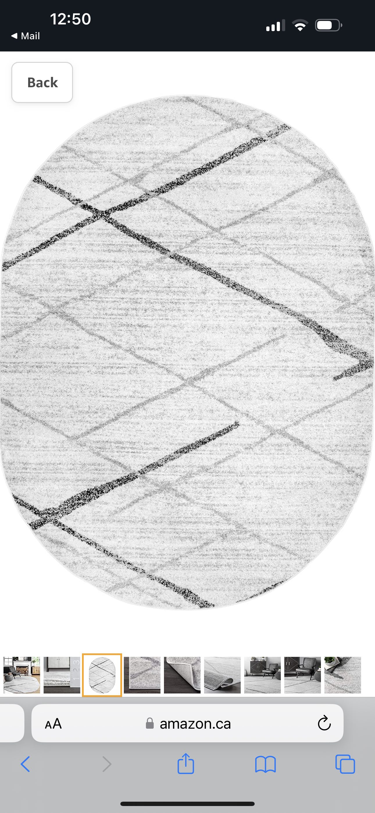 4’ x 6’ oval grey area rug - photo 2
