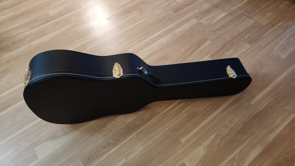Acoustic Guitar with hard case
