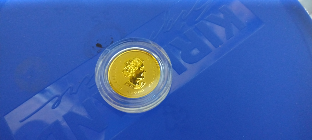 1/20  oz.  2023  Maple leaf Everlasting Gold coin 99.99% pure - photo 2