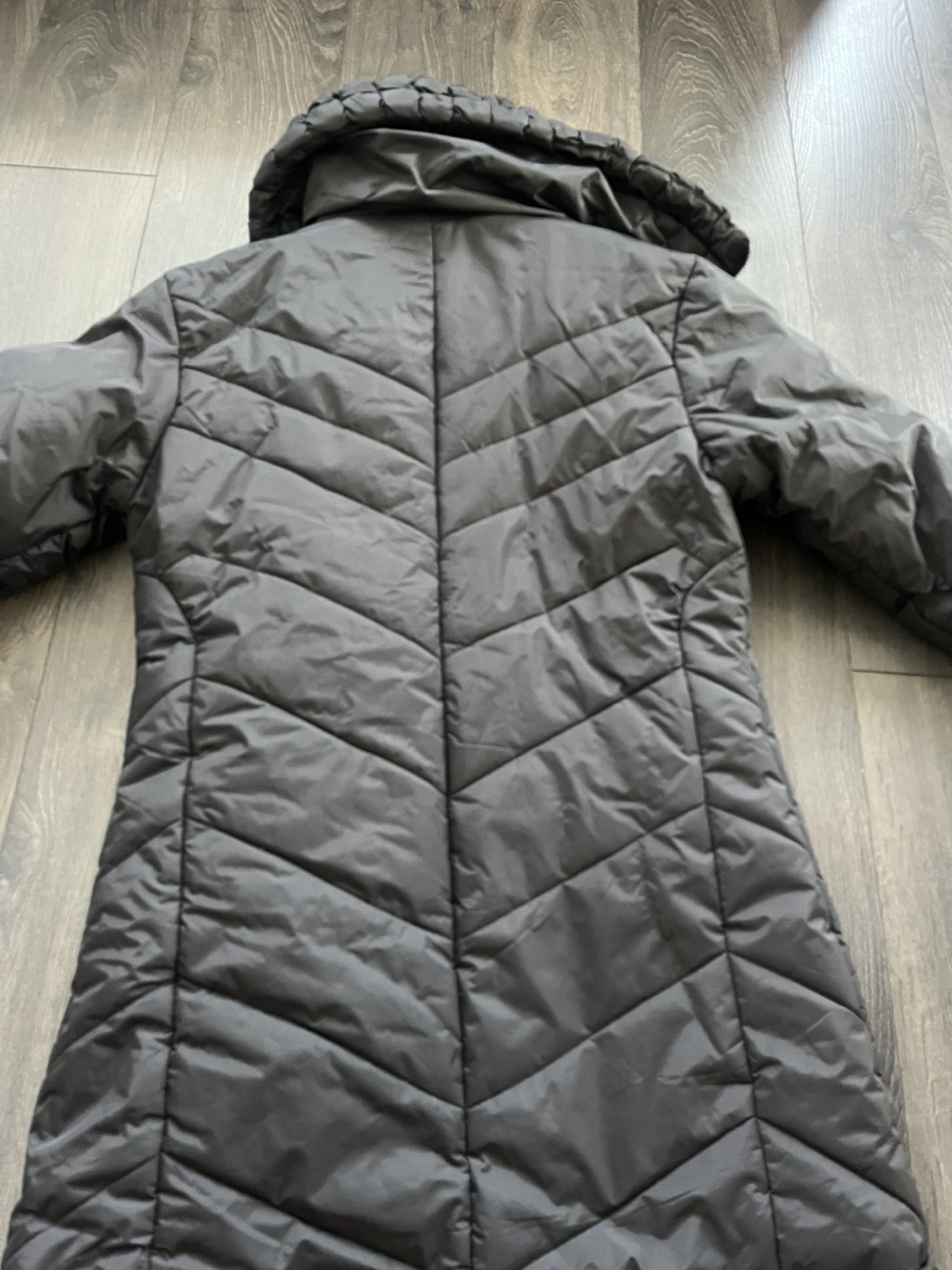 Winter Coat/Jacket image indicator(2)