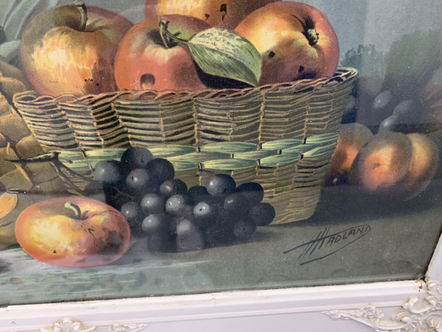 Antique Fruit Print - photo 3