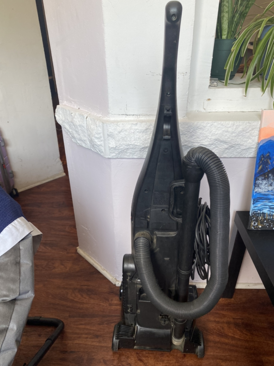 Bissell Helix Vacuum Cleaner - photo 4