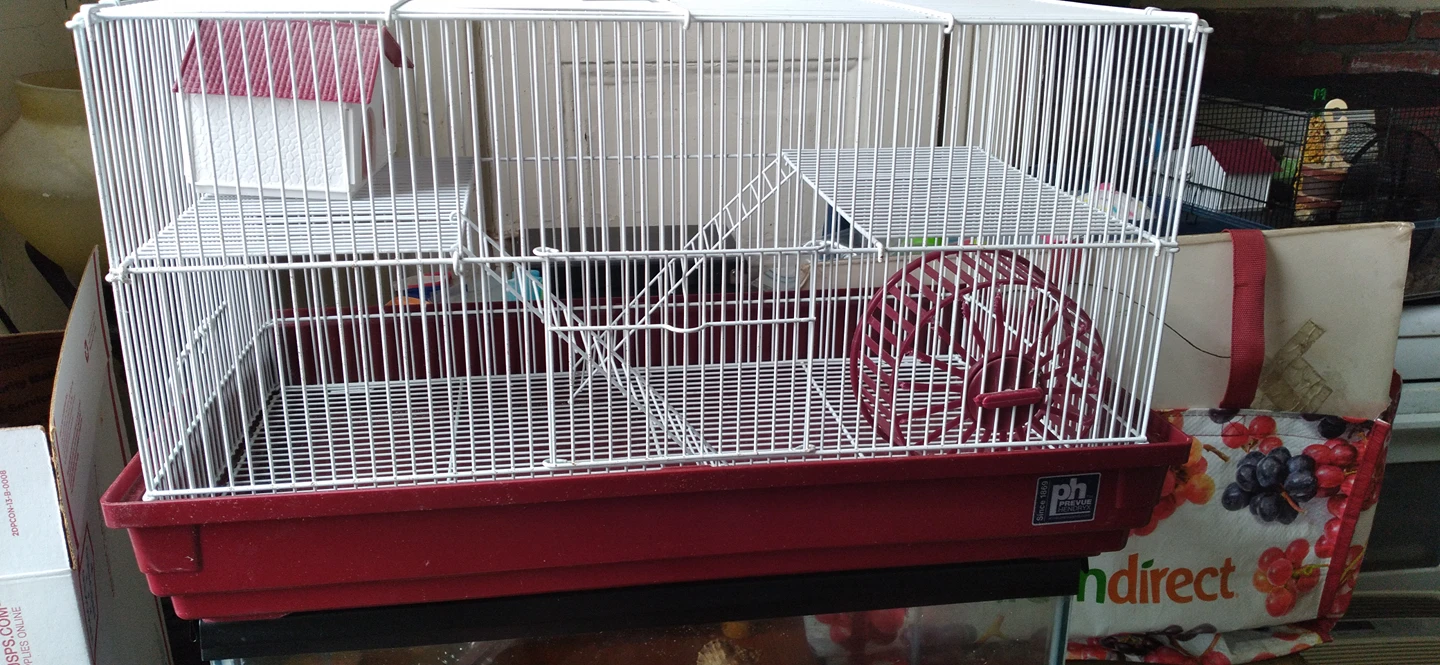 Hamster Cage
