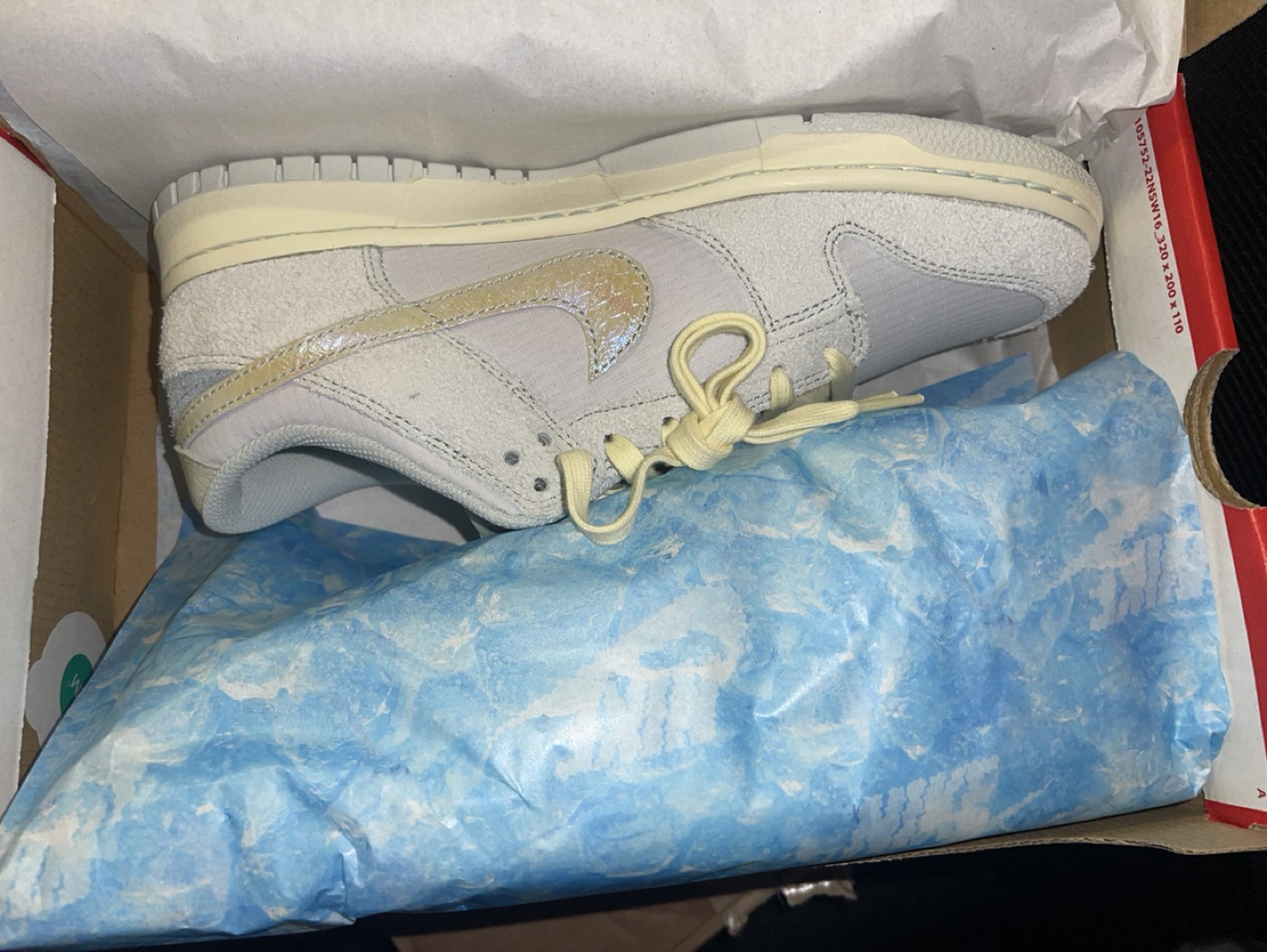 Gone Fishing Dunks