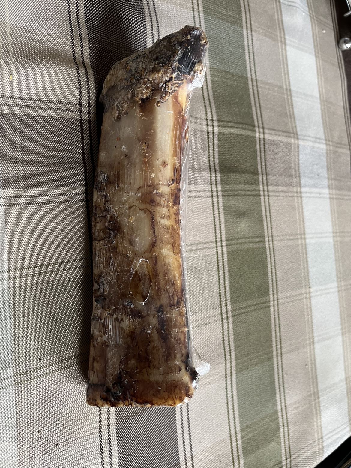 #Freecycle-Meaty Marrow Bone 7-9 inches - photo 3