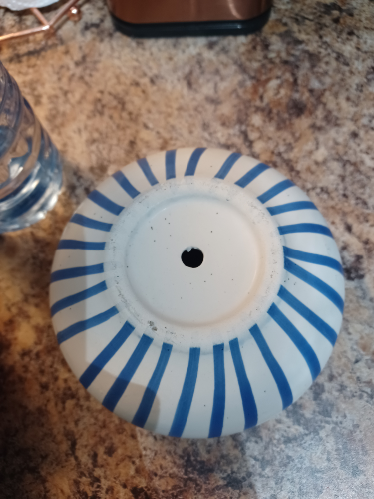 Brand New Planter With Drainage Hole image indicator(3)