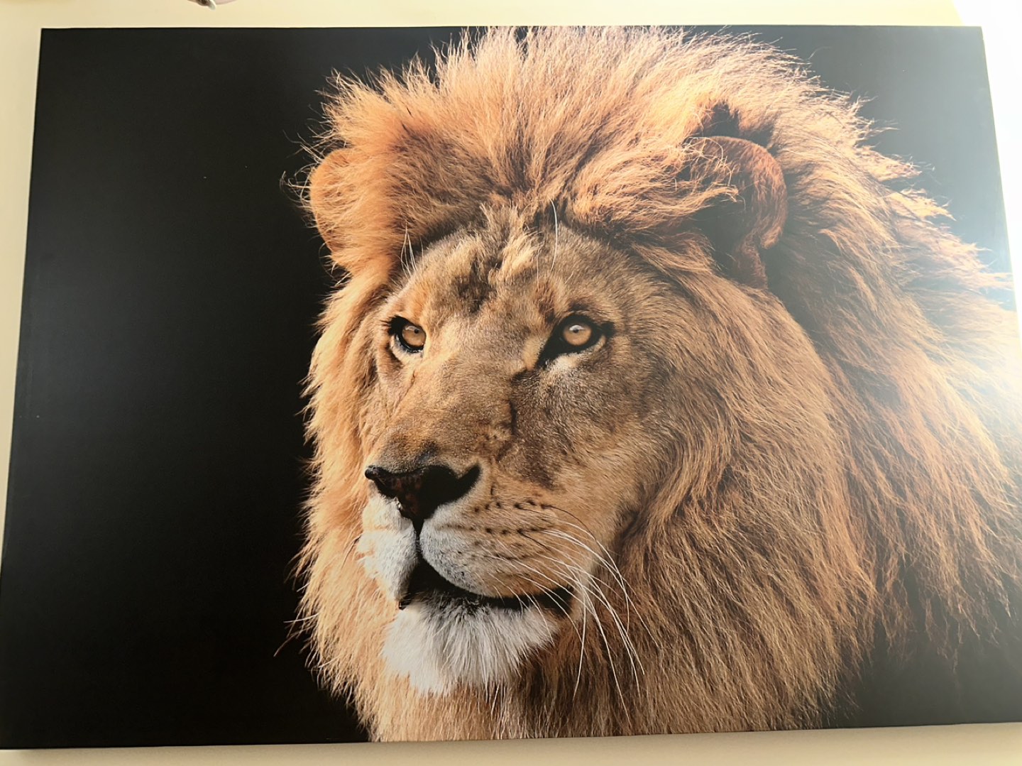 Lion Leo Inspired Wall Art - photo 2