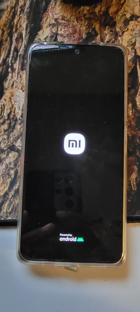 Xiaomi Redmi Note 10 Pro Price Firm - photo 2