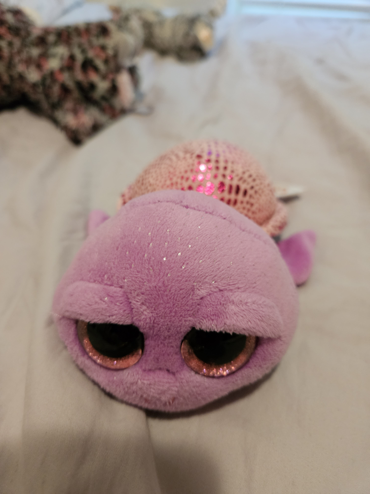 Beannie Boo's image indicator(4)