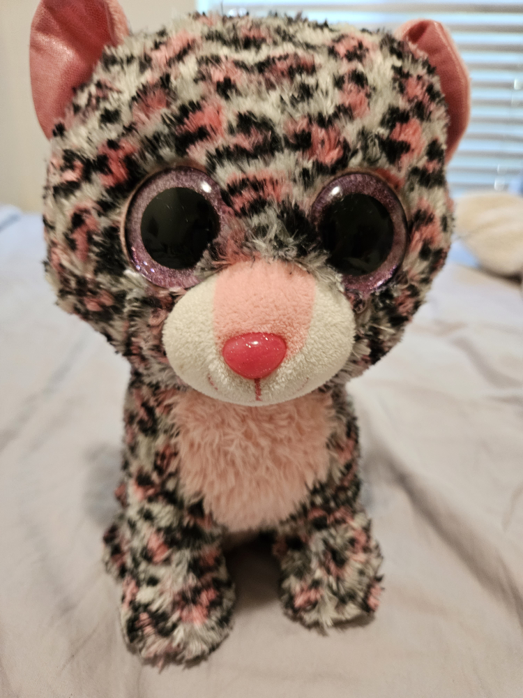 Beannie Boo's image indicator(6)