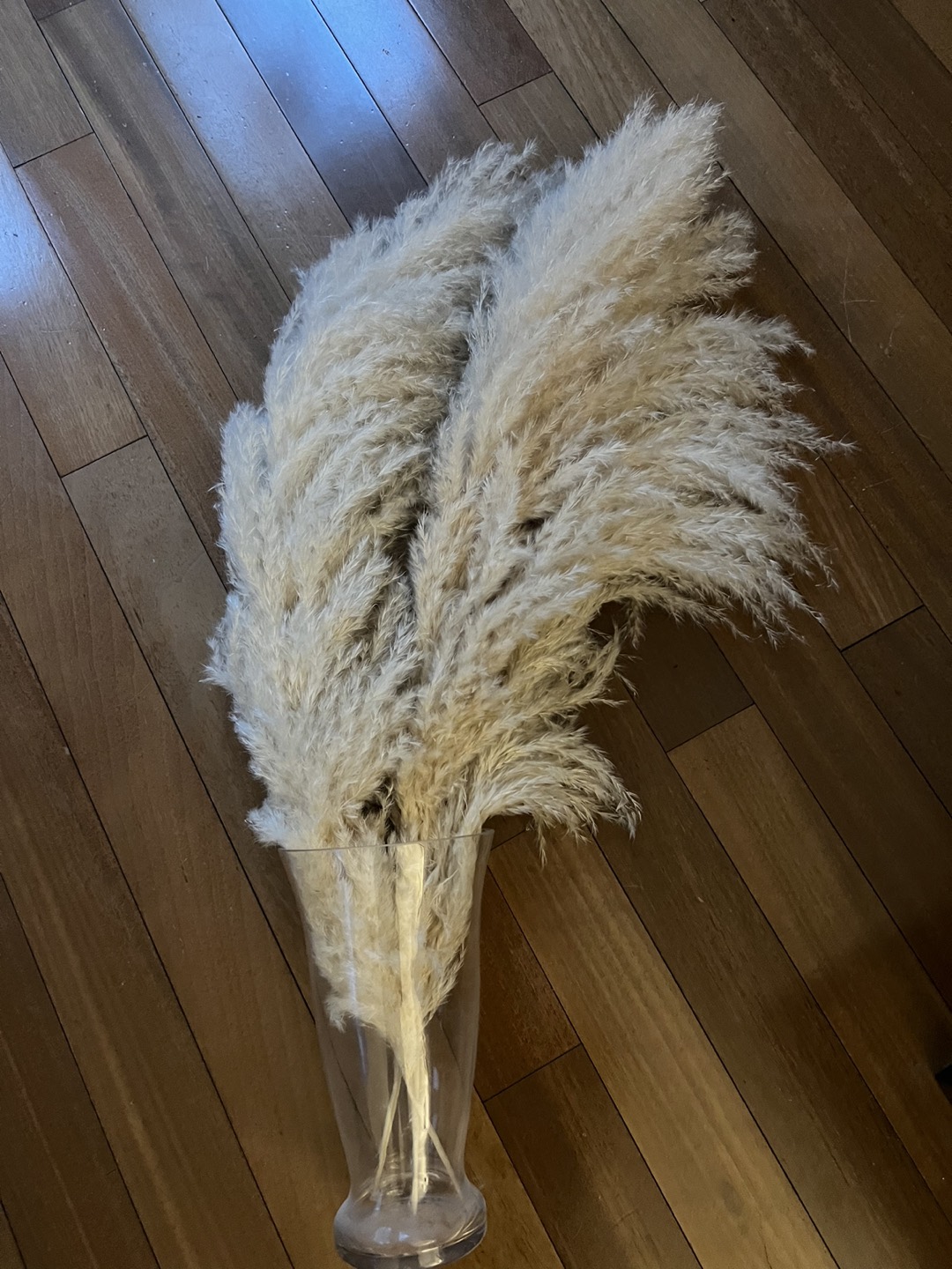 3 pampas grass stems
