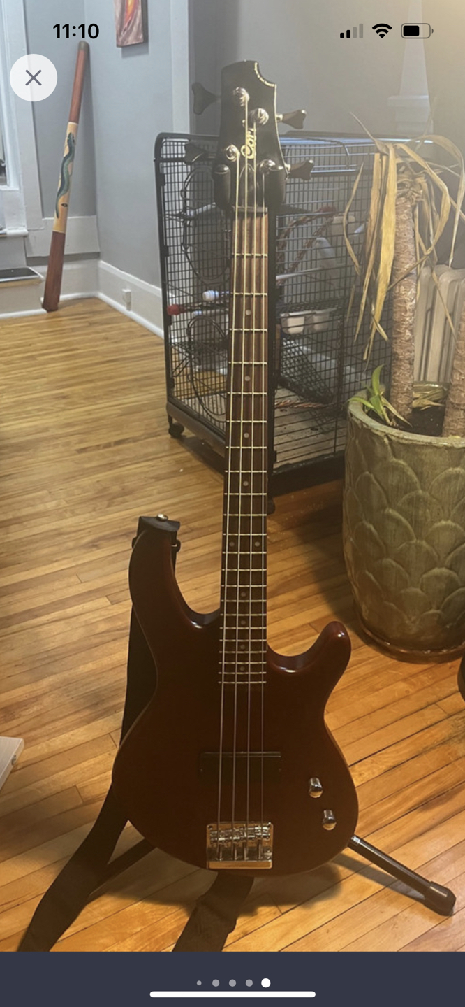 Cort Action bass jr and ampeg amp+zoom pedal