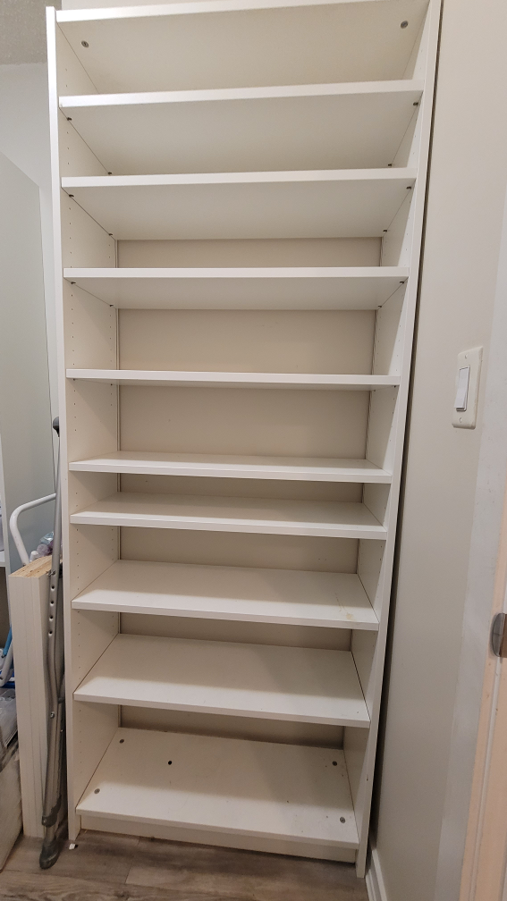 Ikea Billy Bookcase