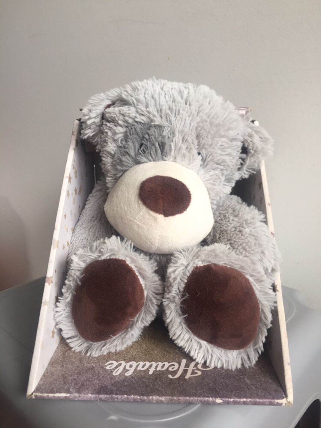 Heatable Teddy Bear thumbnail