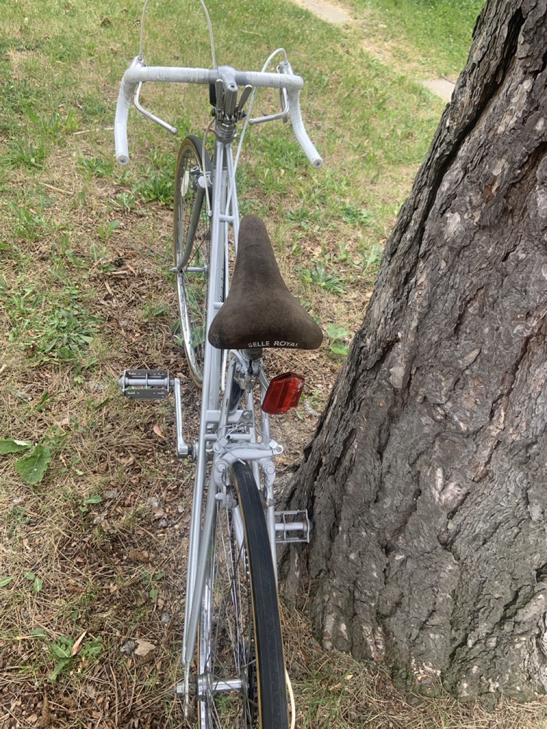 vintage medalist  10 speed 27 inches wheels image indicator(6)