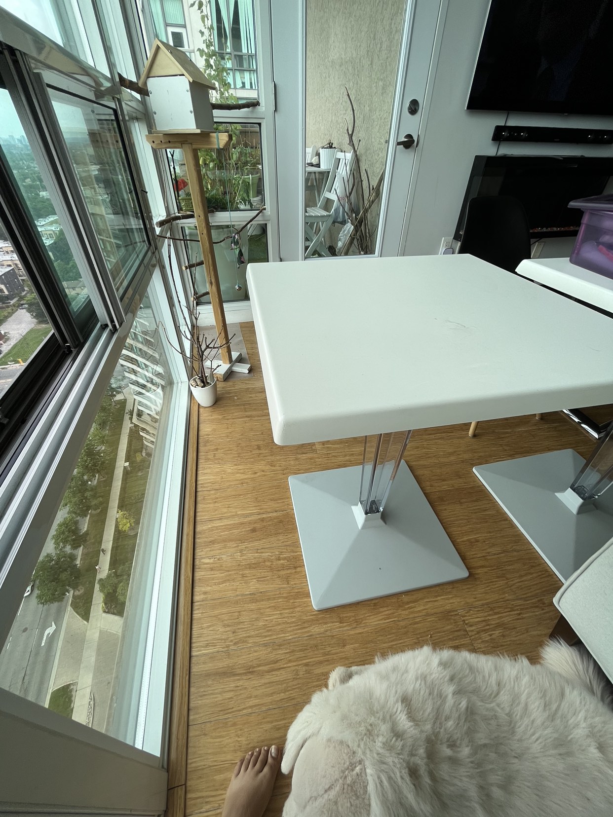 White table image indicator(2)