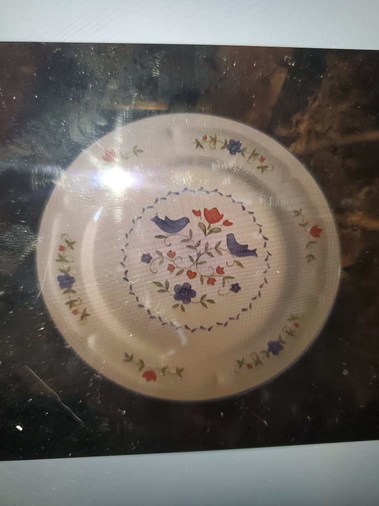 Dish set image indicator(2)