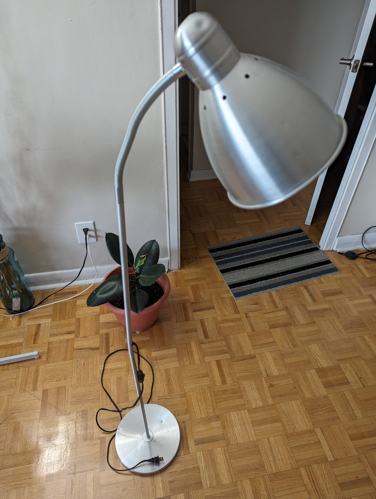 lamp