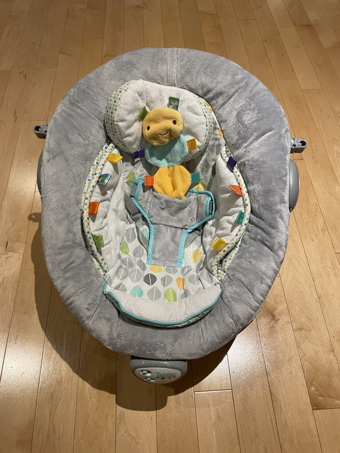 Taggie Baby Bouncer