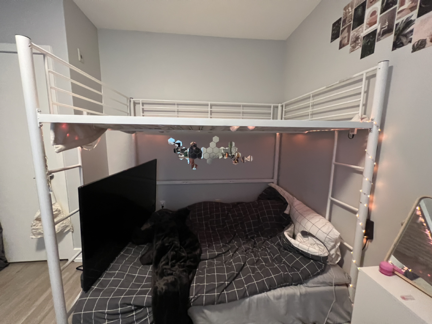 Elita Full Metal Loft Bed by Viv + Rae - photo 3