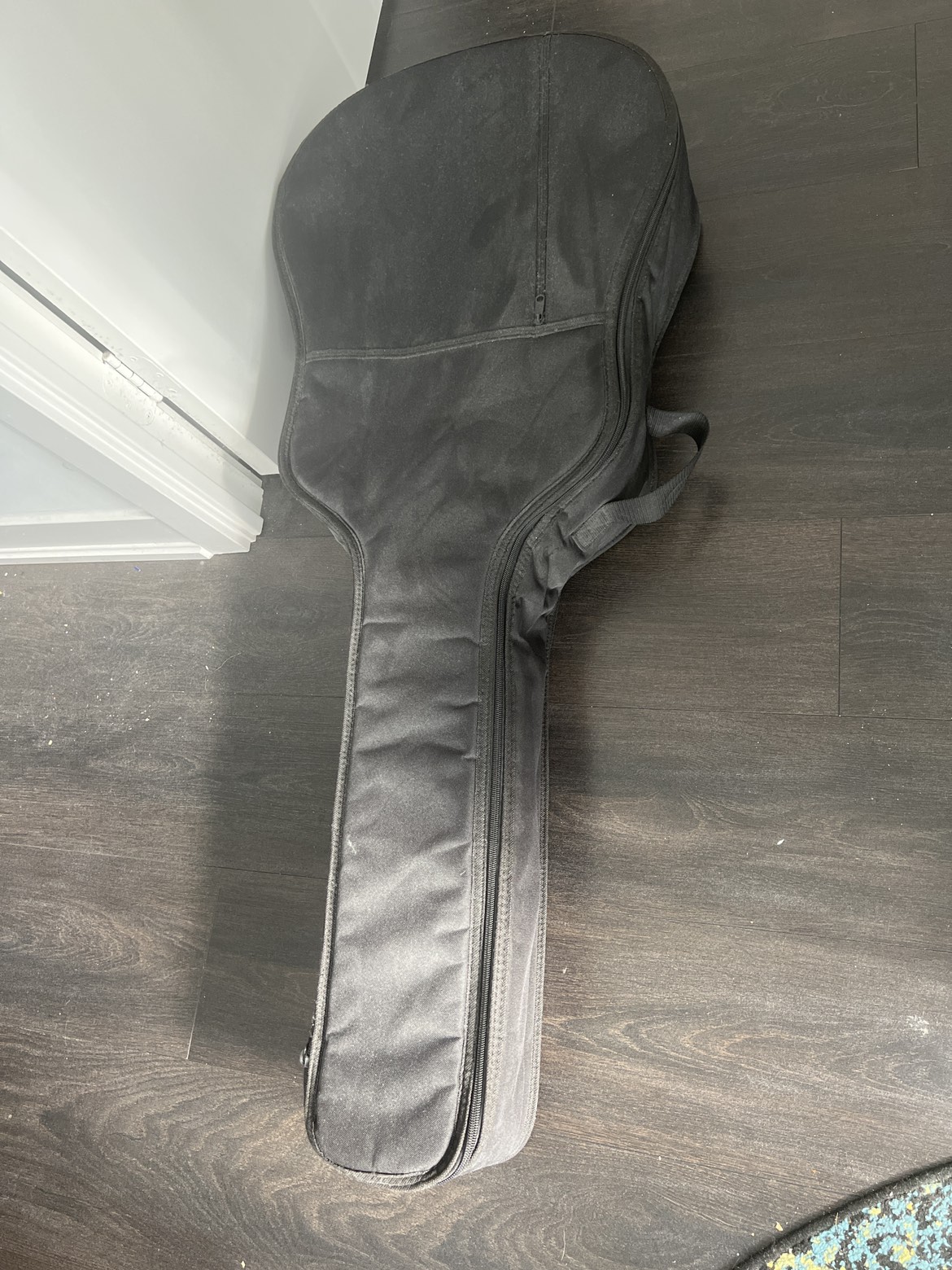 Guitar case