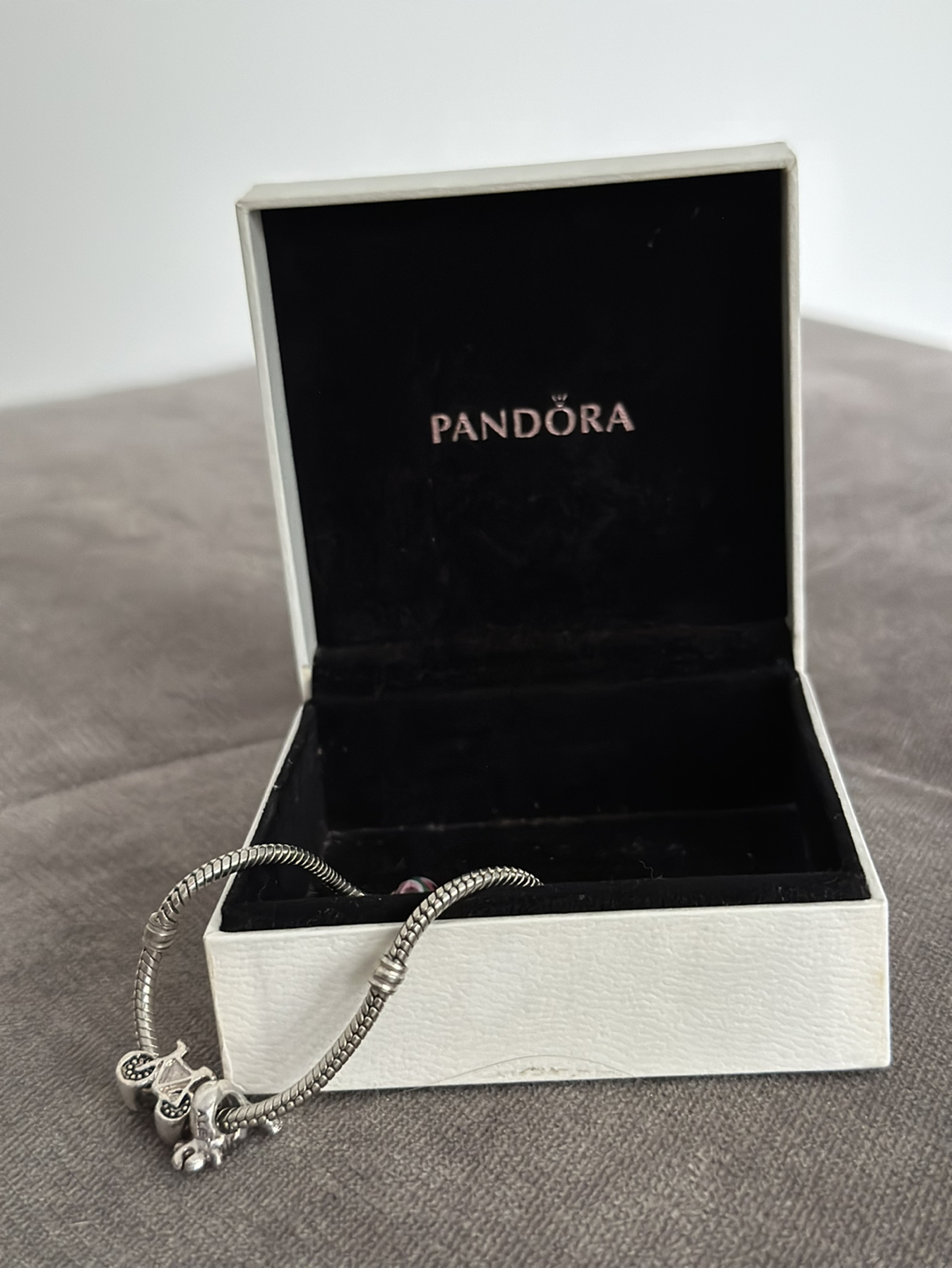 Pandora bracelet with charms