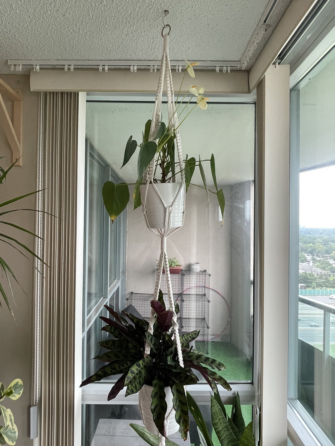 2 tier macrame plant holder with plants thumbnail