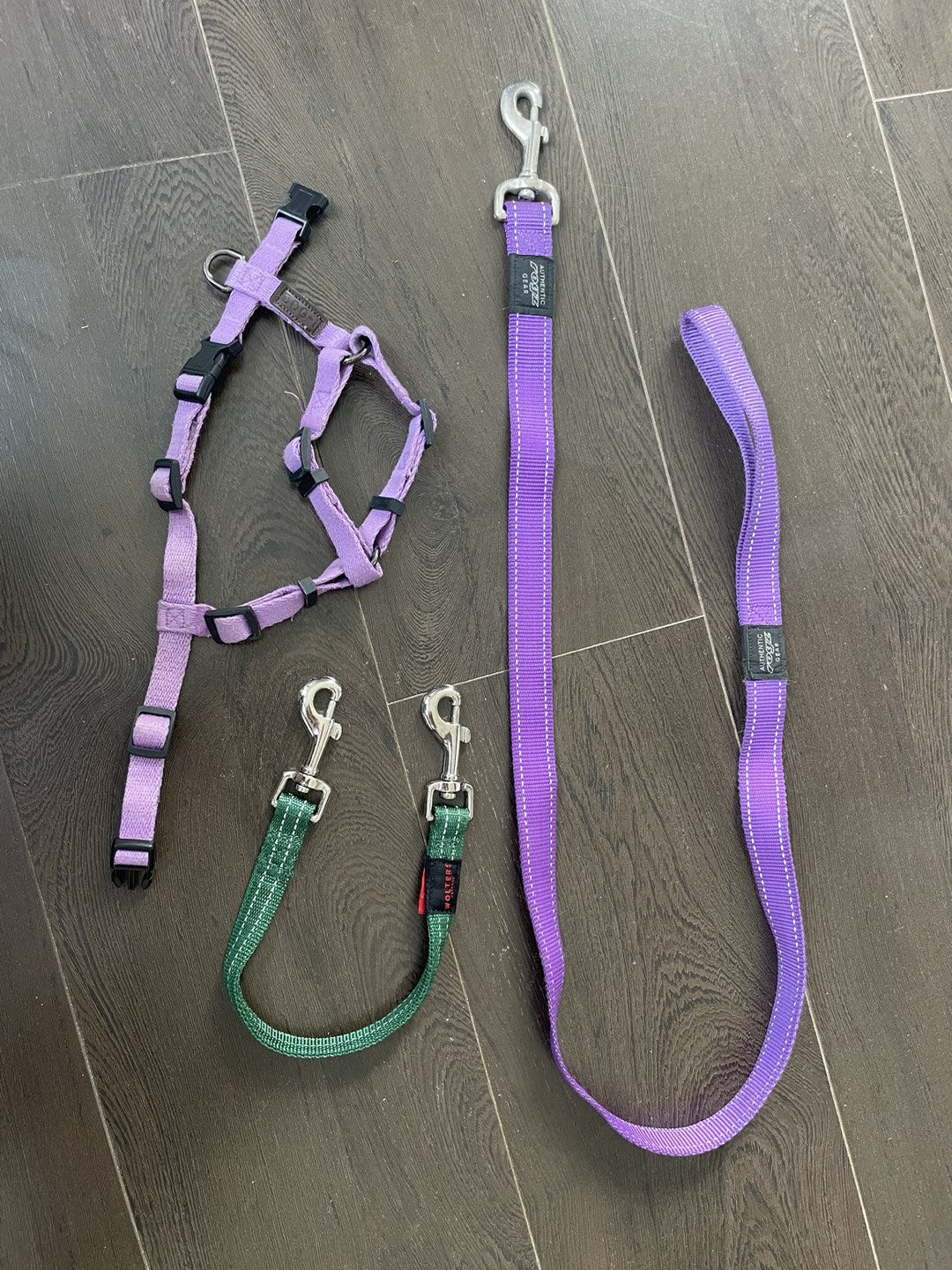 Dog Leashes